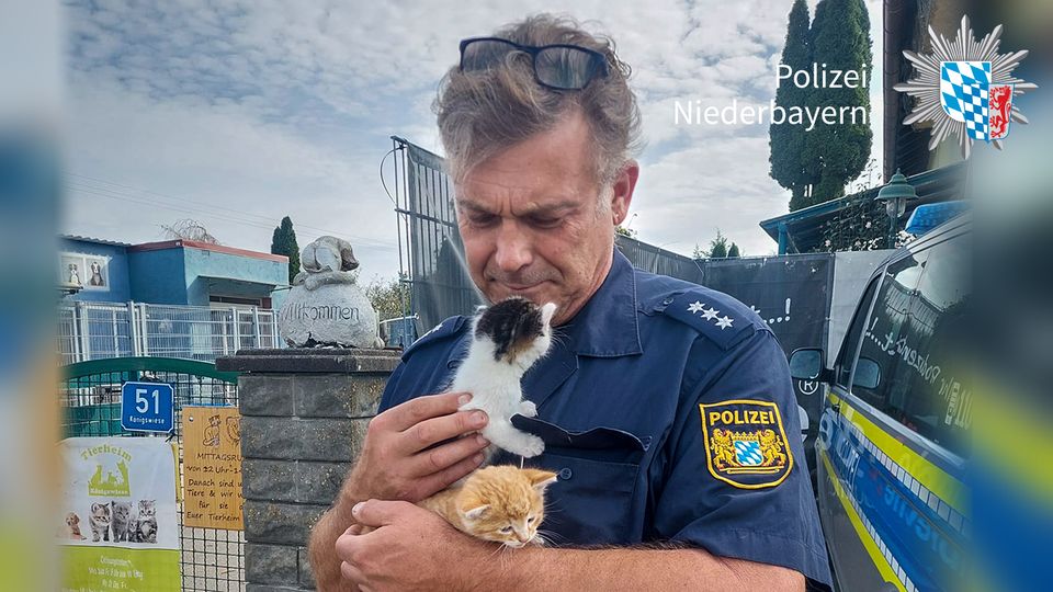 Polizei hilft Tieren
